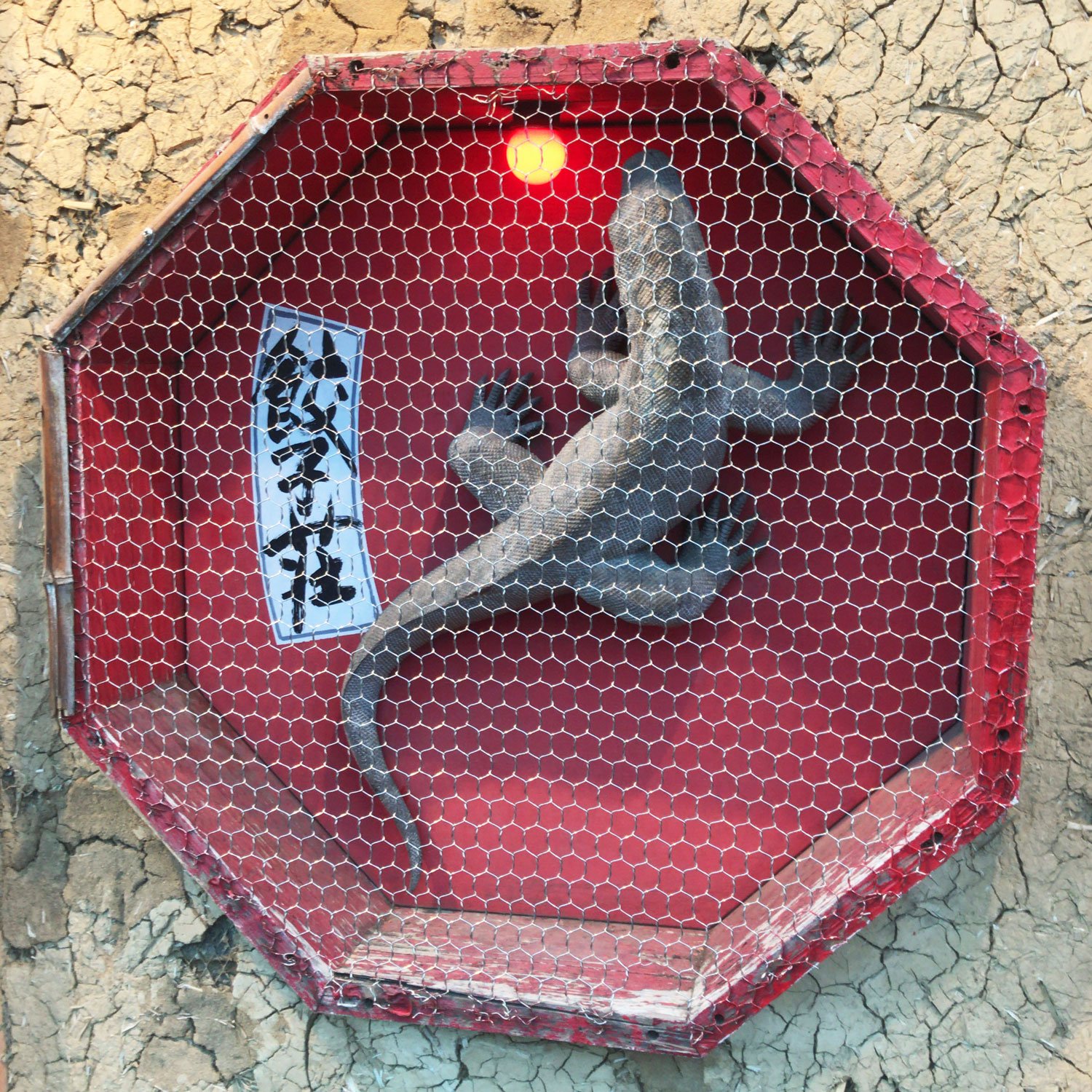 餃子荘 紅蜥蜴 トカゲ