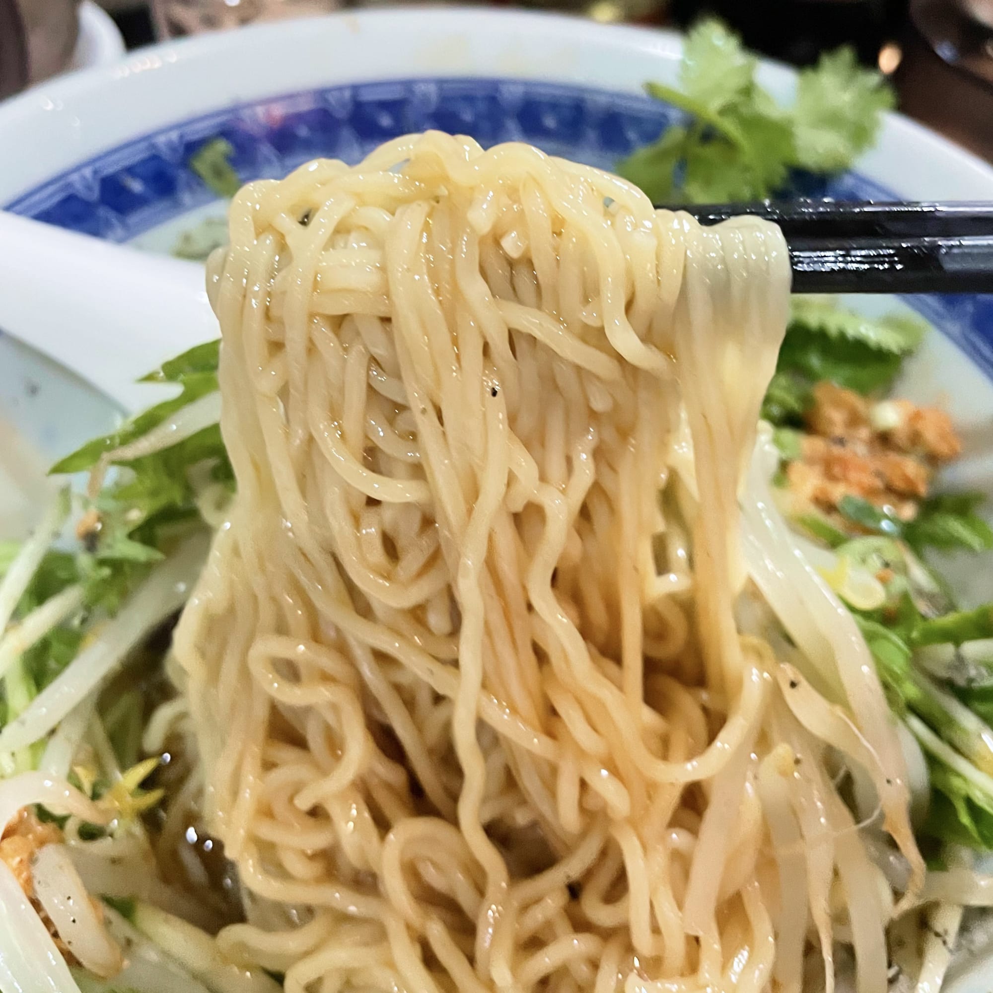 千駄木 毛家麺店 冷やし担々麺 麺リフト